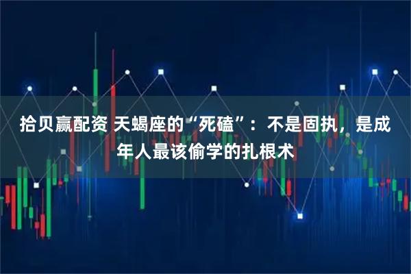 拾贝赢配资 天蝎座的“死磕”：不是固执，是成年人最该偷学的扎根术