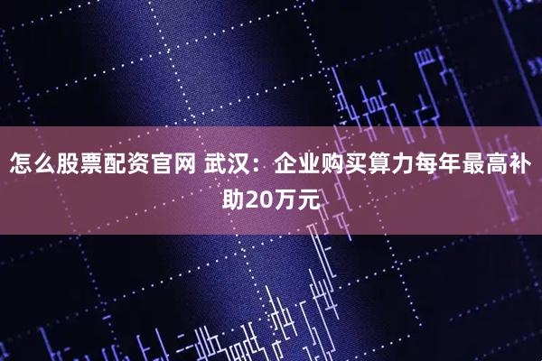 怎么股票配资官网 武汉：企业购买算力每年最高补助20万元