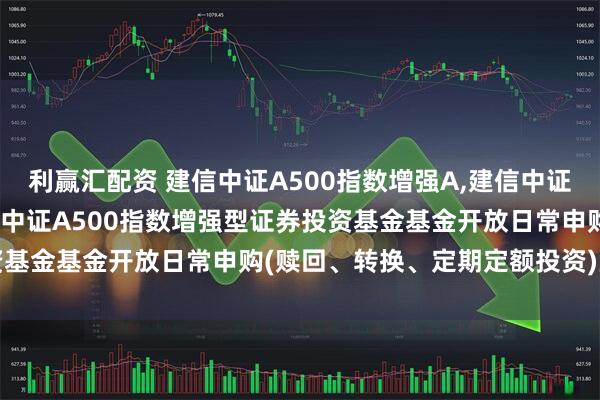 利赢汇配资 建信中证A500指数增强A,建信中证A500指数增强C: 建信中证A500指数增强型证券投资基金基金开放日常申购(赎回、转换、定期定额投资)业务公告