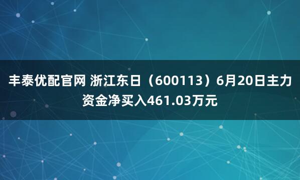丰泰优配官网 浙江东日（600113）6月20日主力资金净买入461.03万元