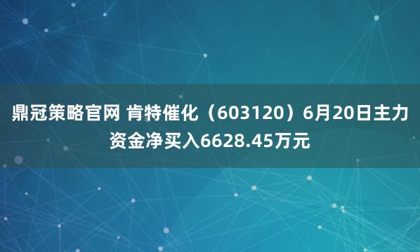 鼎冠策略官网 肯特催化（603120）6月20日主力资金净买入6628.45万元