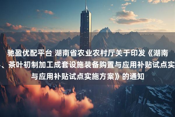 驰盈优配平台 湖南省农业农村厅关于印发《湖南省稻谷烘干中心、茶叶初制加工成套设施装备购置与应用补贴试点实施方案》的通知